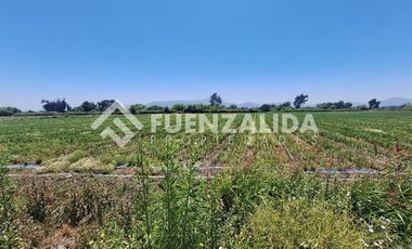 Sitio en Venta en San Antonio de Naltahua