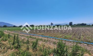 Agrícola en Venta en San Antonio de Naltahua