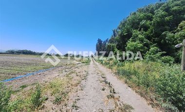 Agrícola en Venta en San Antonio de Naltahua