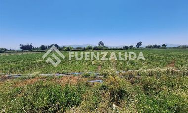 Agrícola en Venta en San Antonio de Naltahua