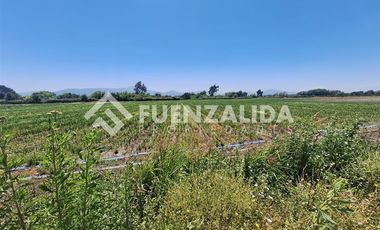 Agrícola en Venta en San Antonio de Naltahua