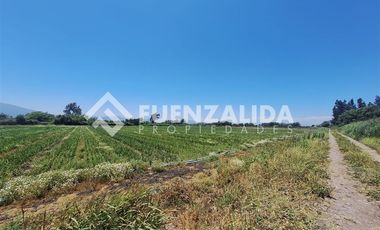 Agrícola en Venta en San Antonio de Naltahua