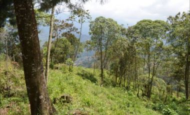VENTA de LOTES en LA ESTRELLA