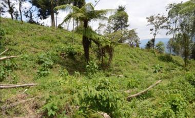 VENTA de LOTES en LA ESTRELLA