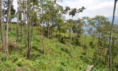VENTA de LOTES en LA ESTRELLA