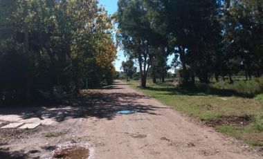 Casa - Punta Lara