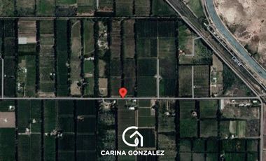 Chacra de 8 hectáreas en Cinco Saltos, Río Negro