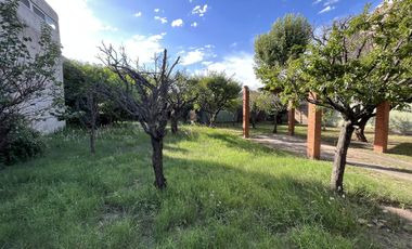 Terreno - Villa Dominico
