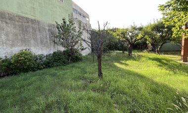 Terreno - Villa Dominico