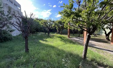 Terreno - Villa Dominico