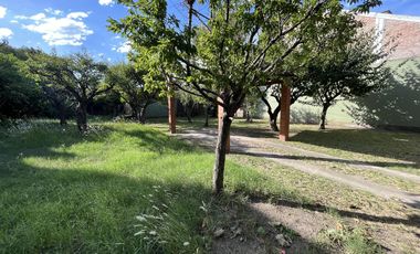 Terreno - Villa Dominico
