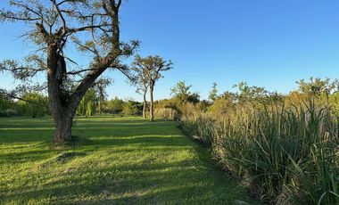 Casa en  venta Delta Tigre