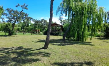 Casa en  venta Delta Tigre