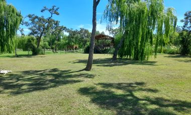 Casa en  venta Delta Tigre