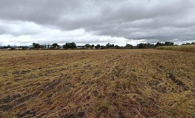 RANCHO EN VENTA EN  DOCTOR MORA GUANAJUATO