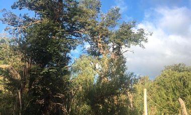 Terreno en venta - 600Mts2 - Caleuche, San Martín de Los Andes, Neuquén