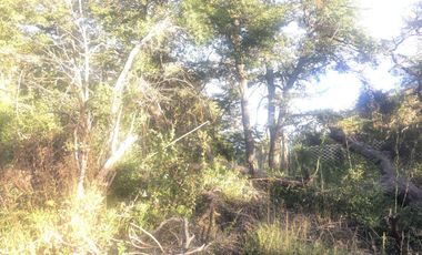 Terreno en venta - 600Mts2 - Caleuche, San Martín de Los Andes, Neuquén