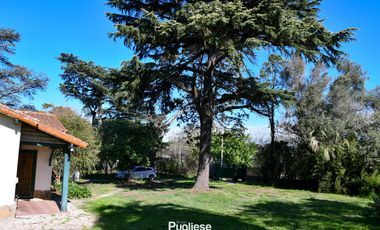 Casa en venta sobre lote de 3000m2