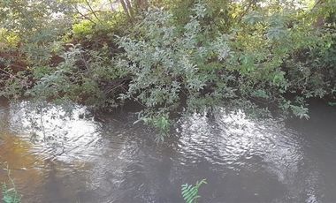 Parcela en Venta en Callejón La Caña, Longaví