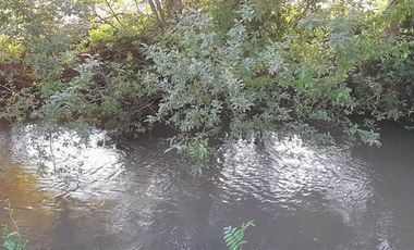 Parcela en Venta en Callejón La Caña, Longaví