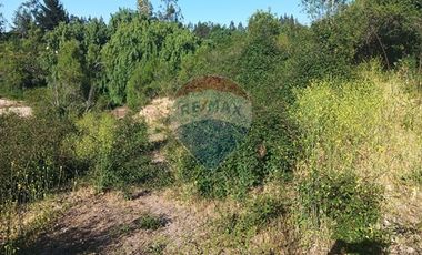 Oportunidad, rebajado ! 5.000m2 Codigua. Melipilla