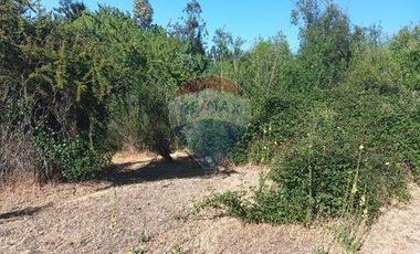 Oportunidad, rebajado ! 5.000m2 Codigua. Melipilla