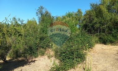 Oportunidad, rebajado ! 5.000m2 Codigua. Melipilla
