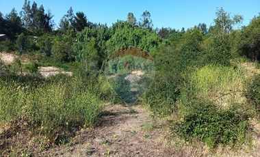 Oportunidad, rebajado ! 5.000m2 Codigua. Melipilla
