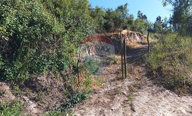 Oportunidad, rebajado ! 5.000m2 Codigua. Melipilla