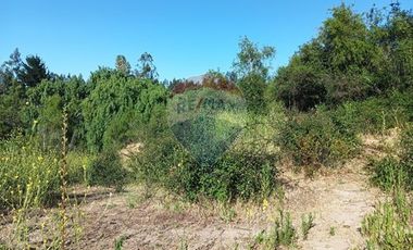 Oportunidad, rebajado ! 5.000m2 Codigua. Melipilla