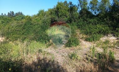 Oportunidad, rebajado ! 5.000m2 Codigua. Melipilla
