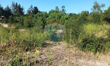 Oportunidad, rebajado ! 5.000m2 Codigua. Melipilla