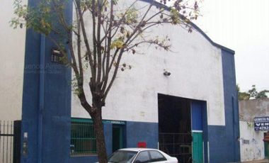 Terreno - Coghlan