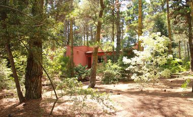 Cod 848 / Alquiler 2025 Casa rodeada de bosque!