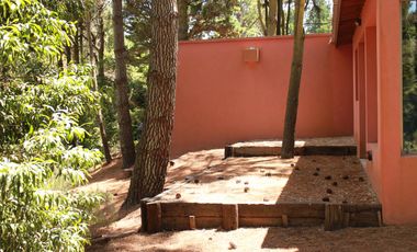 Cod 848 / Alquiler 2025 Casa rodeada de bosque!
