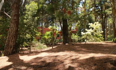 Cod 848 / Alquiler 2025 Casa rodeada de bosque!
