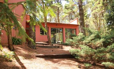 Cod 848 / Alquiler 2025 Casa rodeada de bosque!