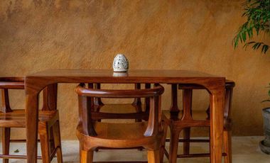 Condominio de lujo junto a Playa La Ropa, Zihuatanejo - Armadillo Mulita 101