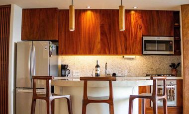 Condominio de lujo junto a Playa La Ropa, Zihuatanejo - Armadillo Mulita 101
