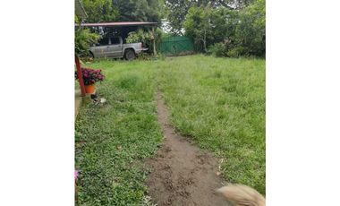 SE VENDE FINCA PRODUCTIVA EN FILANDIA QUINDO