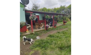SE VENDE FINCA PRODUCTIVA EN FILANDIA QUINDO