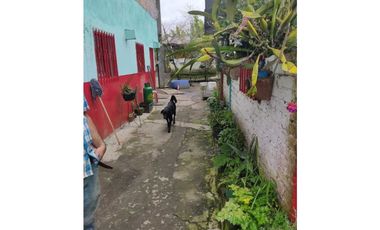 SE VENDE FINCA PRODUCTIVA EN FILANDIA QUINDO