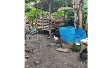 SE VENDE FINCA PRODUCTIVA EN FILANDIA QUINDO