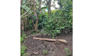 SE VENDE FINCA PRODUCTIVA EN FILANDIA QUINDO