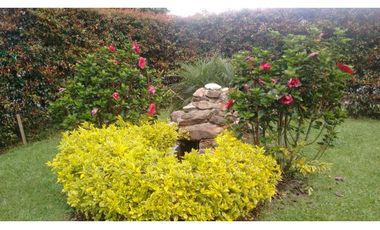 5339825  Arriendo Casa en Llanogrande Antioquia
