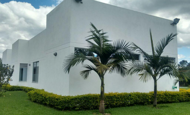 5339825  Arriendo Casa en Llanogrande Antioquia