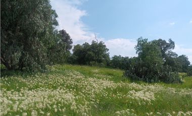 TERRENO EN TIZAYUCA HIDALGO 7MIL METROS