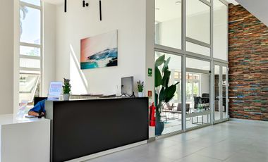 Milán 1242 (1 Est /1 Bod)