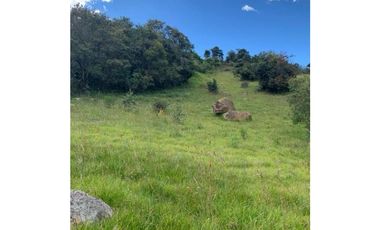 VENTA LOTE RESIDENCIAL PROYECTO  MACADAMIA DEL RO LA CALERA SOPO