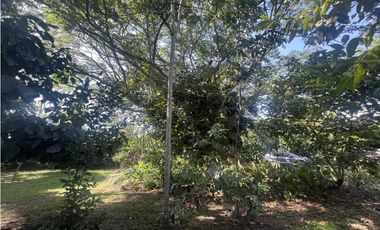 CASA CAMPESTRE - SECTOR MURILLO - ALTA VALORIZACION